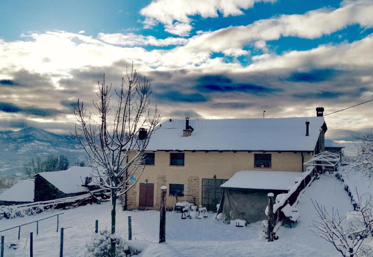 Daina Bianca Bed & Breakfast Solignano Eksteriør bilde